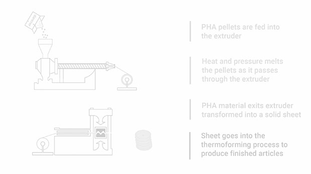 Extrusion & Thermoforming Cycle