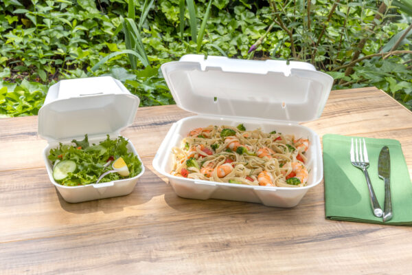 foam food containers on picnic table