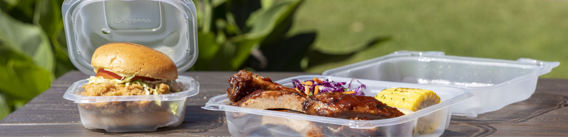 clear hinged food containers with lunch packed inside them