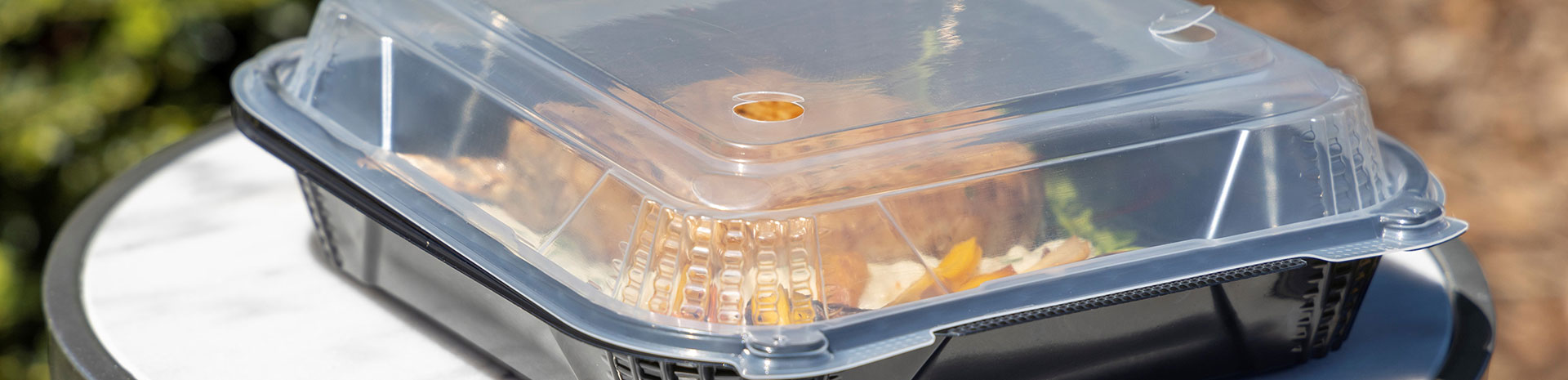 Proview hinged container with clear, vented lid