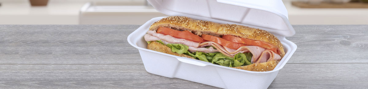 eco-friendly hinged container with sandwich inside