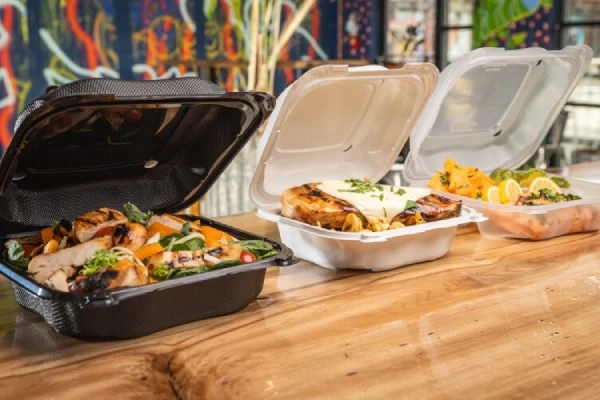 variety of different food container options